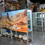 kolekcja paleontologiczna